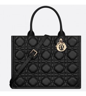 Medium Dior Book Tote M1324OWHP