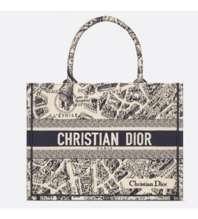 Medium Dior Book Tote M1296ZOMP