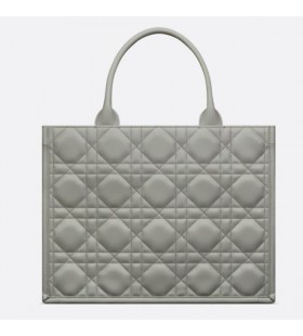 Medium Dior Book Tote Stone Gray
