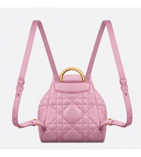 SmÃ¥ Dior Caro RygsÃ¦k Pink